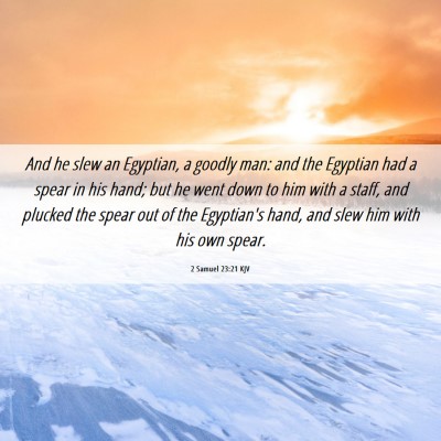 Picture 06 - 2 Samuel 23:21 KJV - And he slew an Egyptian, a goodly man: and the - Bible Verse Picture
