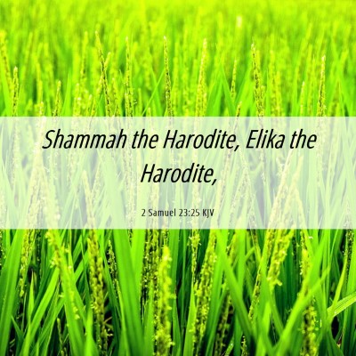 Picture 06 - 2 Samuel 23:25 KJV - Shammah the Harodite, Elika the - Bible Verse Picture