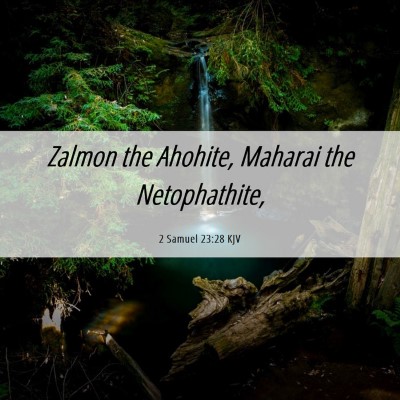 Picture 06 - 2 Samuel 23:28 KJV - Zalmon the Ahohite, Maharai the - Bible Verse Picture