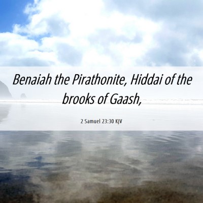 Picture 06 - 2 Samuel 23:30 KJV - Benaiah the Pirathonite, Hiddai of the brooks of - Bible Verse Picture