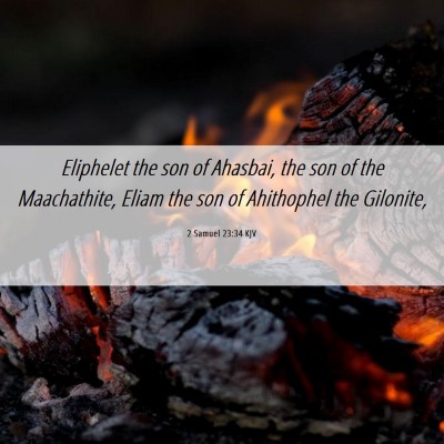 Picture 06 - 2 Samuel 23:34 KJV - Eliphelet the son of Ahasbai, the son of the - Bible Verse Picture