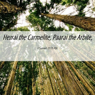 Picture 06 - 2 Samuel 23:35 KJV - Hezrai the Carmelite, Paarai the - Bible Verse Picture