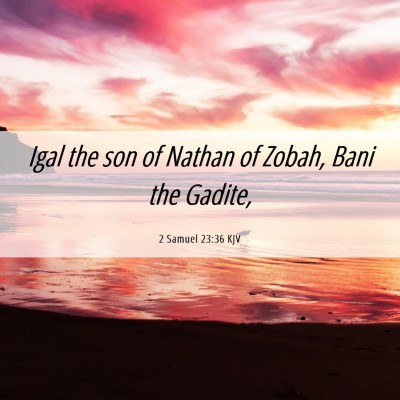 Picture 06 - 2 Samuel 23:36 KJV - Igal the son of Nathan of Zobah, Bani the - Bible Verse Picture