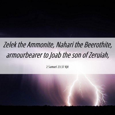 Picture 06 - 2 Samuel 23:37 KJV - Zelek the Ammonite, Nahari the Beerothite, - Bible Verse Picture