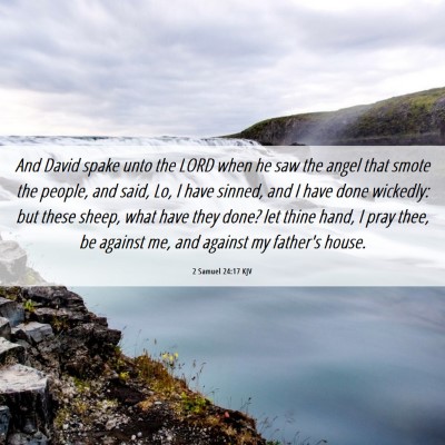 Picture 06 - 2 Samuel 24:17 KJV - And David spake unto the LORD when he saw the - Bible Verse Picture