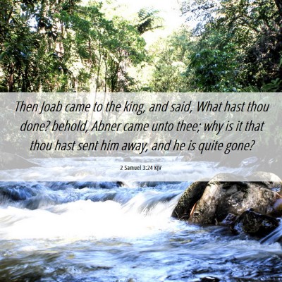 Picture 06 - 2 Samuel 3:24 KJV - Then Joab came to the king, and said, What hast - Bible Verse Picture