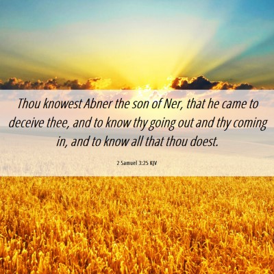 Picture 06 - 2 Samuel 3:25 KJV - Thou knowest Abner the son of Ner, that he came - Bible Verse Picture