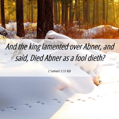 Picture 06 - 2 Samuel 3:33 KJV - And the king lamented over Abner, and said, Died - Bible Verse Picture