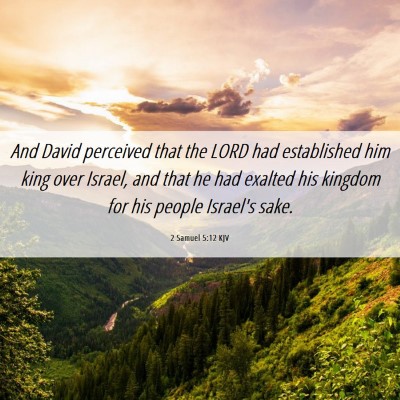 Picture 06 - 2 Samuel 5:12 KJV - And David perceived that the LORD had established - Bible Verse Picture