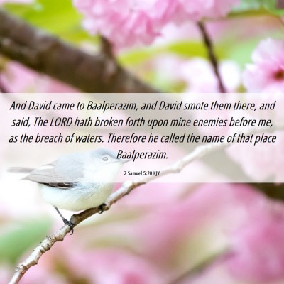 Picture 06 - 2 Samuel 5:20 KJV - And David came to Baalperazim, and David smote - Bible Verse Picture