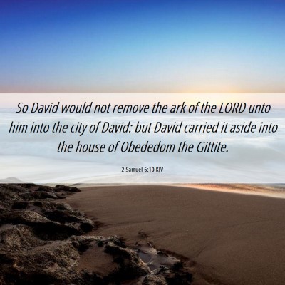Picture 06 - 2 Samuel 6:10 KJV - So David would not remove the ark of the LORD - Bible Verse Picture