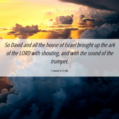 Picture 06 - 2 Samuel 6:15 KJV - So David and all the house of Israel brought up - Bible Verse Picture