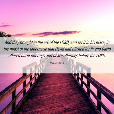 Picture 06 - 2 Samuel 6:17 KJV - And they brought in the ark of the LORD, and set - Bible Verse Picture