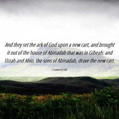 Picture 06 - 2 Samuel 6:3 KJV - And they set the ark of God upon a new cart, and - Bible Verse Picture