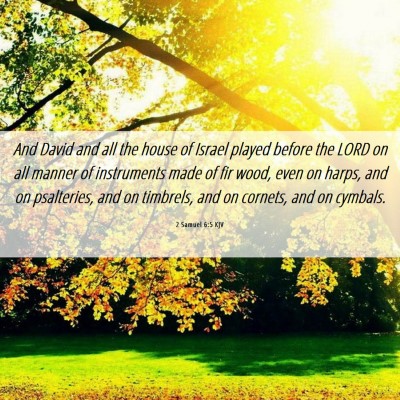 Picture 06 - 2 Samuel 6:5 KJV - And David and all the house of Israel played - Bible Verse Picture