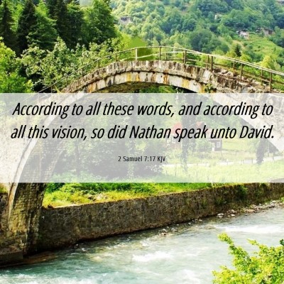 Picture 06 - 2 Samuel 7:17 KJV - According to all these words, and according to - Bible Verse Picture