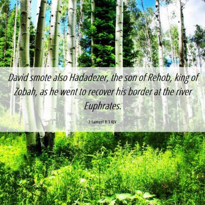 Picture 06 - 2 Samuel 8:3 KJV - David smote also Hadadezer, the son of Rehob, - Bible Verse Picture