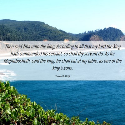 Picture 06 - 2 Samuel 9:11 KJV - Then said Ziba unto the king, According to all - Bible Verse Picture