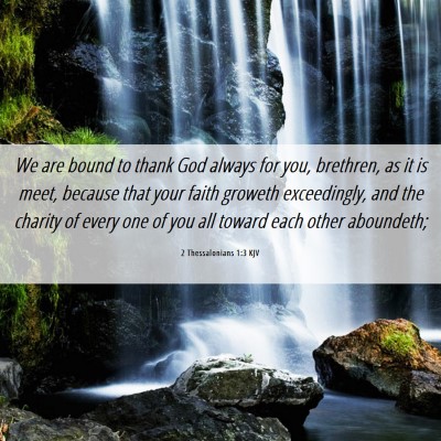 Picture 06 - 2 Thessalonians 1:3 KJV - We are bound to thank God always for you, - Bible Verse Picture