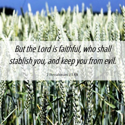 Picture 06 - 2 Thessalonians 3:3 KJV - But the Lord is faithful, who shall stablish you, - Bible Verse Picture