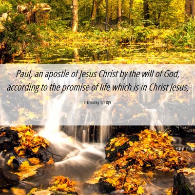 Picture 06 - 2 Timothy 1:1 KJV - Paul, an apostle of Jesus Christ by the will of - Bible Verse Picture