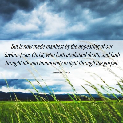 Picture 06 - 2 Timothy 1:10 KJV - But is now made manifest by the appearing of our - Bible Verse Picture