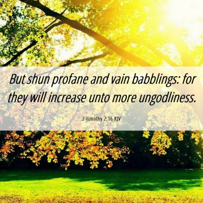 Picture 06 - 2 Timothy 2:16 KJV - But shun profane and vain babblings: for they - Bible Verse Picture