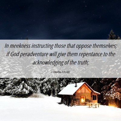 Picture 06 - 2 Timothy 2:25 KJV - In meekness instructing those that oppose - Bible Verse Picture