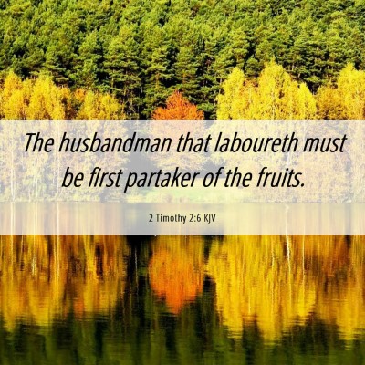 Picture 06 - 2 Timothy 2:6 KJV - The husbandman that laboureth must be first - Bible Verse Picture