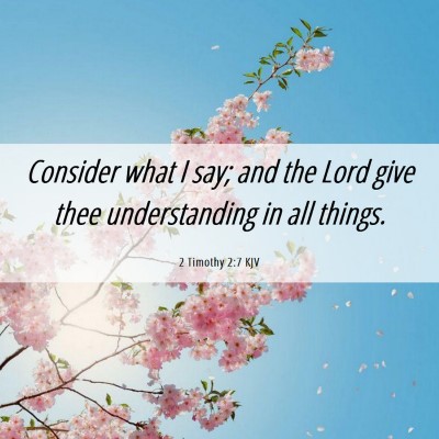 Picture 06 - 2 Timothy 2:7 KJV - Consider what I say; and the Lord give thee - Bible Verse Picture