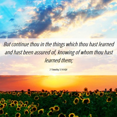 Picture 06 - 2 Timothy 3:14 KJV - But continue thou in the things which thou hast - Bible Verse Picture