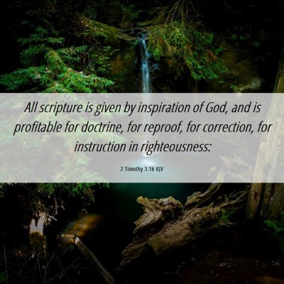 Picture 06 - 2 Timothy 3:16 KJV - All scripture is given by inspiration of God, and - Bible Verse Picture