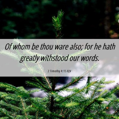 Picture 06 - 2 Timothy 4:15 KJV - Of whom be thou ware also; for he hath greatly - Bible Verse Picture