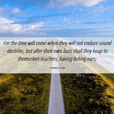 Picture 06 - 2 Timothy 4:3 KJV - For the time will come when they will not endure - Bible Verse Picture