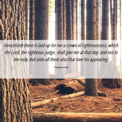 Picture 06 - 2 Timothy 4:8 KJV - Henceforth there is laid up for me a crown of - Bible Verse Picture