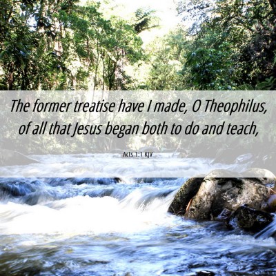 Picture 06 - Acts 1:1 KJV - The former treatise have I made, O Theophilus, of - Bible Verse Picture