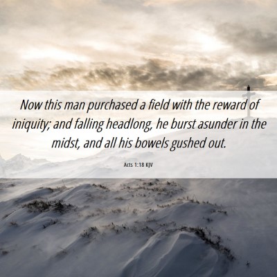 Picture 06 - Acts 1:18 KJV - Now this man purchased a field with the reward of - Bible Verse Picture