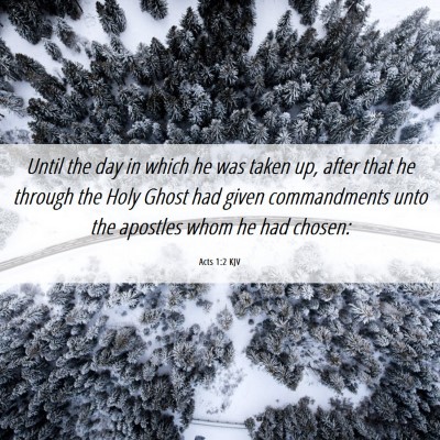 Picture 06 - Acts 1:2 KJV - Until the day in which he was taken up, after - Bible Verse Picture