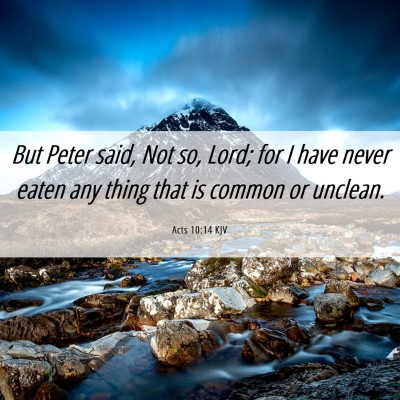 Picture 06 - Acts 10:14 KJV - But Peter said, Not so, Lord; for I have never - Bible Verse Picture