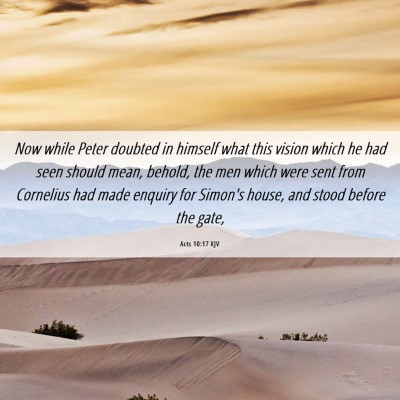 Picture 06 - Acts 10:17 KJV - Now while Peter doubted in himself what this - Bible Verse Picture