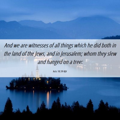 Picture 06 - Acts 10:39 KJV - And we are witnesses of all things which he did - Bible Verse Picture