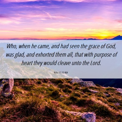 Picture 06 - Acts 11:23 KJV - Who, when he came, and had seen the grace of God, - Bible Verse Picture