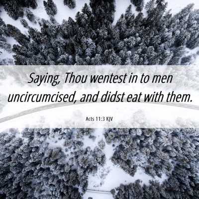 Picture 06 - Acts 11:3 KJV - Saying, Thou wentest in to men uncircumcised, and - Bible Verse Picture