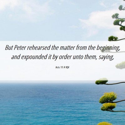 Picture 06 - Acts 11:4 KJV - But Peter rehearsed the matter from the - Bible Verse Picture