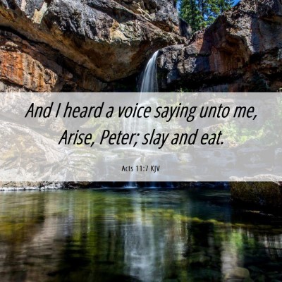 Picture 06 - Acts 11:7 KJV - And I heard a voice saying unto me, Arise, Peter; - Bible Verse Picture