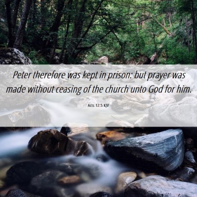 Picture 06 - Acts 12:5 KJV - Peter therefore was kept in prison: but prayer - Bible Verse Picture