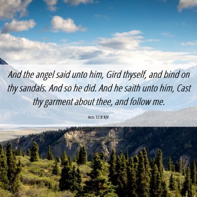 Picture 06 - Acts 12:8 KJV - And the angel said unto him, Gird thyself, and - Bible Verse Picture
