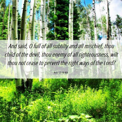 Picture 06 - Acts 13:10 KJV - And said, O full of all subtilty and all - Bible Verse Picture