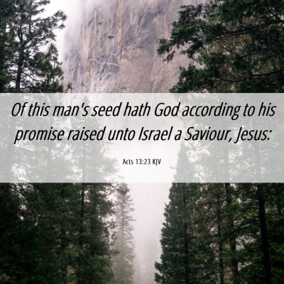 Picture 06 - Acts 13:23 KJV - Of this man's seed hath God according to his - Bible Verse Picture