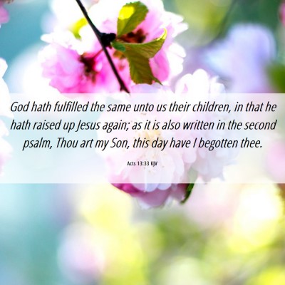Picture 06 - Acts 13:33 KJV - God hath fulfilled the same unto us their - Bible Verse Picture